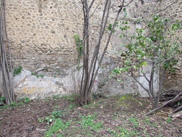 VII.11.14 Pompeii. March 2009. Garden “C”, West wall.