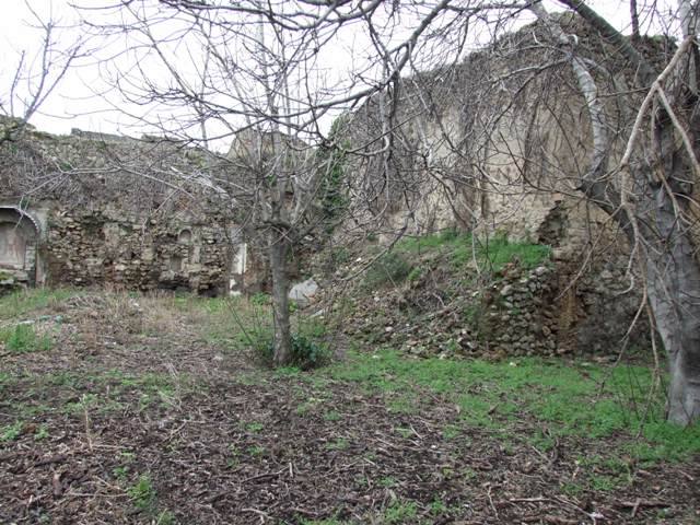 VII.11.14 Pompeii. March 2009. Garden “C”, South wall.
