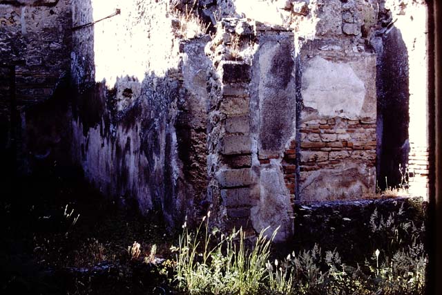 VII.11.14 Pompeii.  March 2009. Garden “C”, Lower Niche.