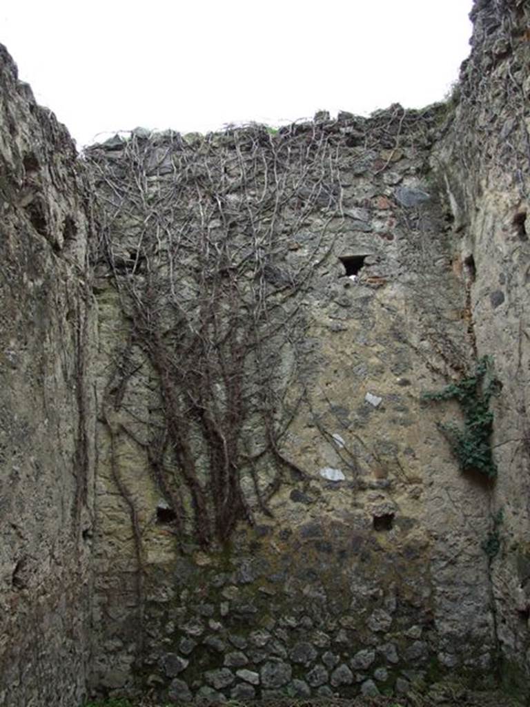 VII.11.14 Pompeii.  March 2009. Garden �B�. East wall of small room.