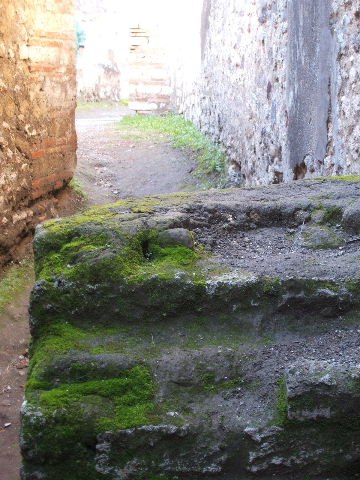 VII.12.16 Pompeii. September 2005. Steps to upper floor.