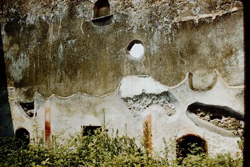 VII.12.23 Pompeii. 1959. North wall of garden area. Photo by Stanley A. Jashemski.
Source: The Wilhelmina and Stanley A. Jashemski archive in the University of Maryland Library, Special Collections (See collection page) and made available under the Creative Commons Attribution-Non Commercial License v.4. See Licence and use details.
J59f0109