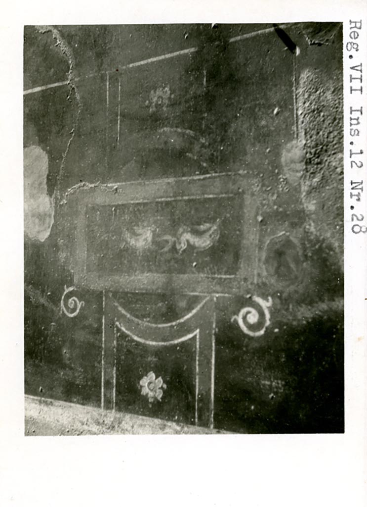 VII.12.28 Pompeii. Pre-1937-39.
Painted panel with dolphins from south end of west wall of the exedra.
Photo courtesy of American Academy in Rome, Photographic Archive. Warsher collection no. 679.