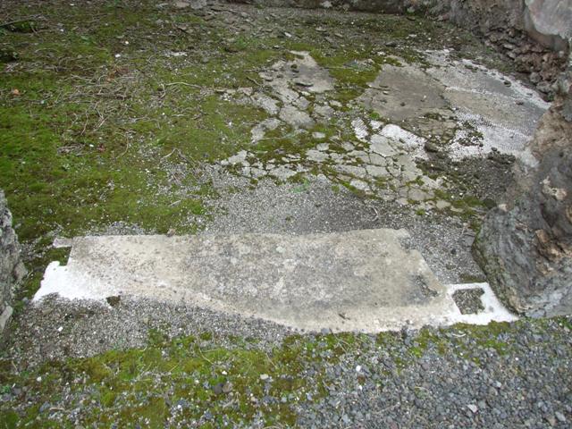 VII.14.5 Pompeii. March 2009. Room 3. South wall.