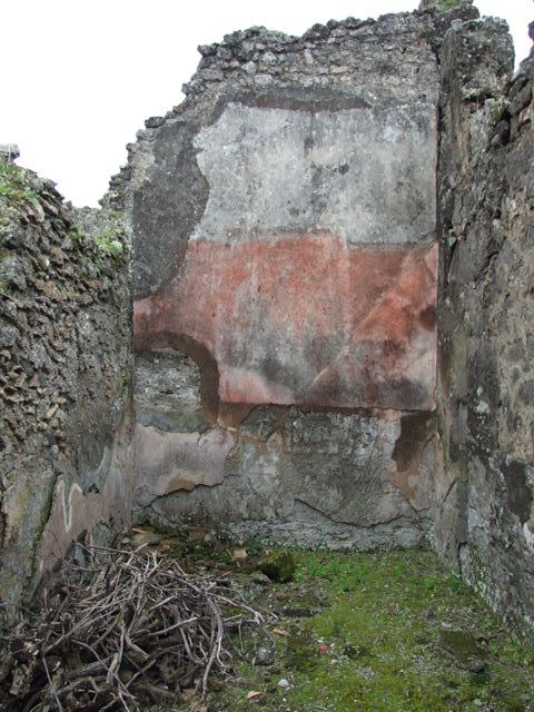 VII.14.5 Pompeii.  March 2009.  Room 13.  East wall.