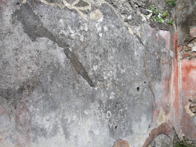 VII.14.5 Pompeii.  March 2009. Room 14. South wall.
