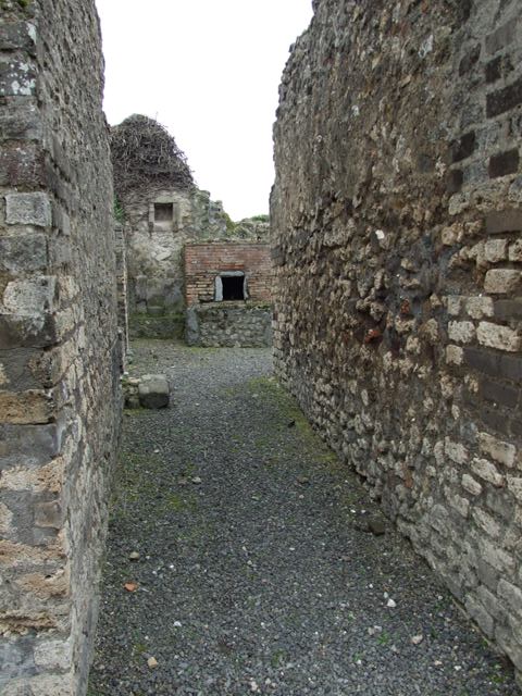 VII.14.5 Pompeii.  March 2009. Room 16.