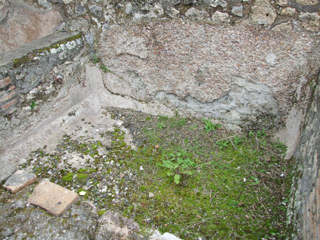 VII.14.5 Pompeii.  March 2009. Room 23.  North wall.