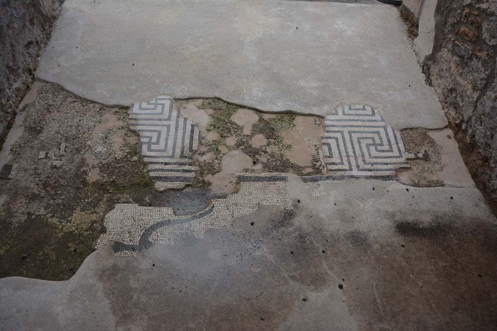 VII.15.2 Pompeii. September 2005. Portion of mosaic in Fauces.