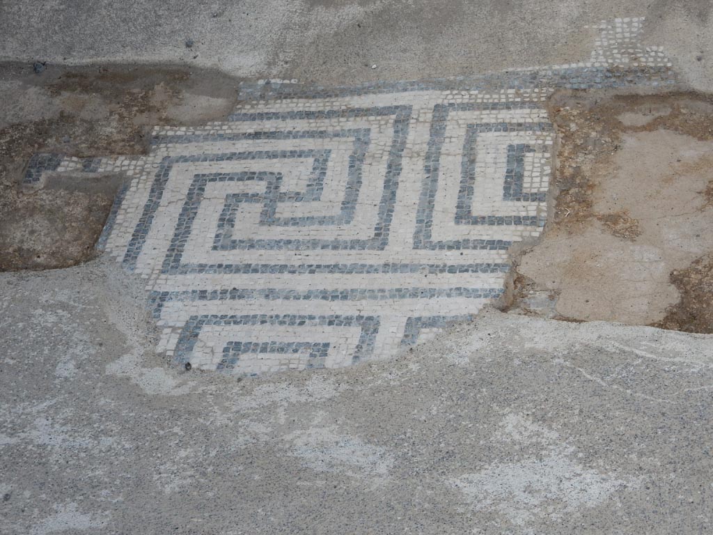 II.15.2 Pompeii. December 2007. Atrium floor mosaic and impluvium surround.
