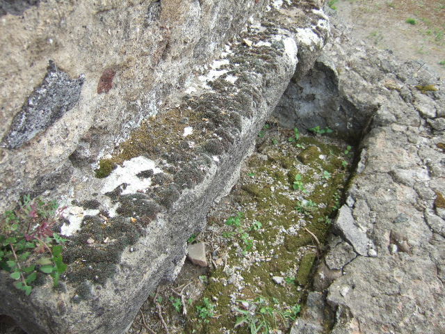 VII.15.16 Pompeii. Granary. September 2005.