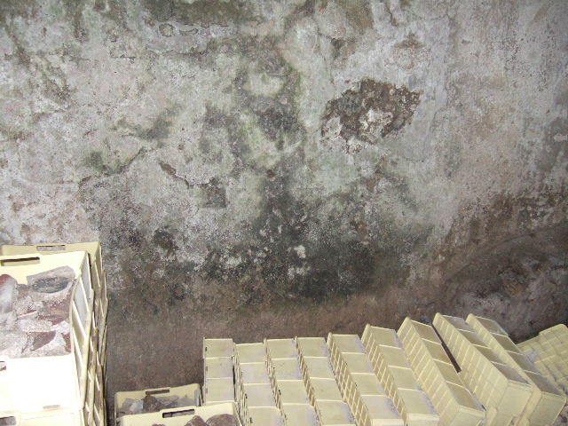 VII.15.16 Pompeii.  Granary.  May 2006.