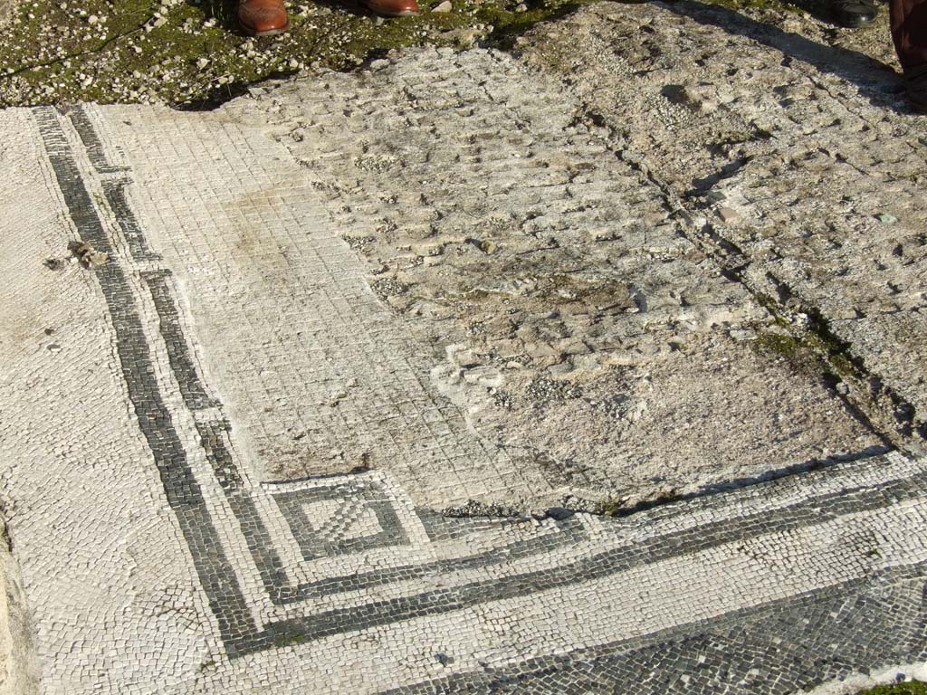 VII.16.15 Pompeii. December 2007. Room 1, entrance fauces mosaic.