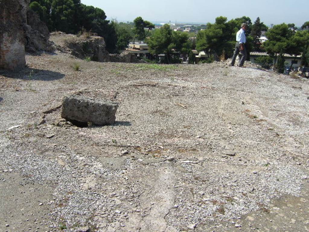 VII.16.15 Pompeii. September 2005. Room 2, looking west across impluvium in atrium. The impluvium had one of the Garum mosaics in each corner. In the Atrium at each corner of the impluvium was a black and white mosaic of an amphora with a Latin inscription for the four Roman fish sauces. Three of the four amphorae name Aulus Umbricius Scaurus, the wealthy Pompeian Garum producer and merchant. According to Clarke these had the inscriptions
G(ari) F(los) SCO(mbri) / SCAURI / EX OFFI(CI) / NA SCAU / RI
LIQUA(men) / FLOS
G(ari) F(los) SCOM(bri) / SCAURI
LIQUAMEN / OPTIMUM / EX OFFICIN / A SCAURI
See Clarke, J. R. in Dobbins, J. J. and Foss, P. W., 2008. The World of Pompeii. Oxford: Routledge. (p. 330).