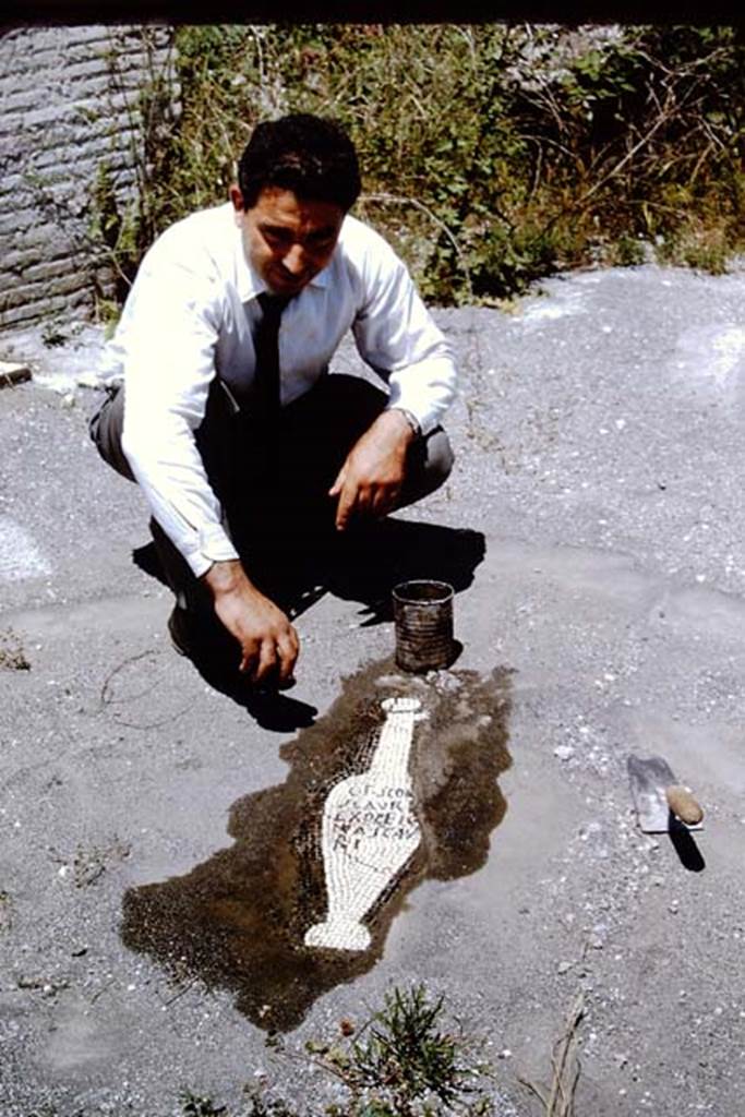 VII.16.15 Pompeii. 1964. Room 2, from corner of impluvium in atrium. Mosaic urceus (terracotta vessel in which the fish sauce was kept) carefully cleaned and protective sand removed for the photo. They have since been removed to the safety of the “deposits”. Photo by Stanley A. Jashemski.
Source: The Wilhelmina and Stanley A. Jashemski archive in the University of Maryland Library, Special Collections (See collection page) and made available under the Creative Commons Attribution-Non Commercial License v.4. See Licence and use details.
J64f0858