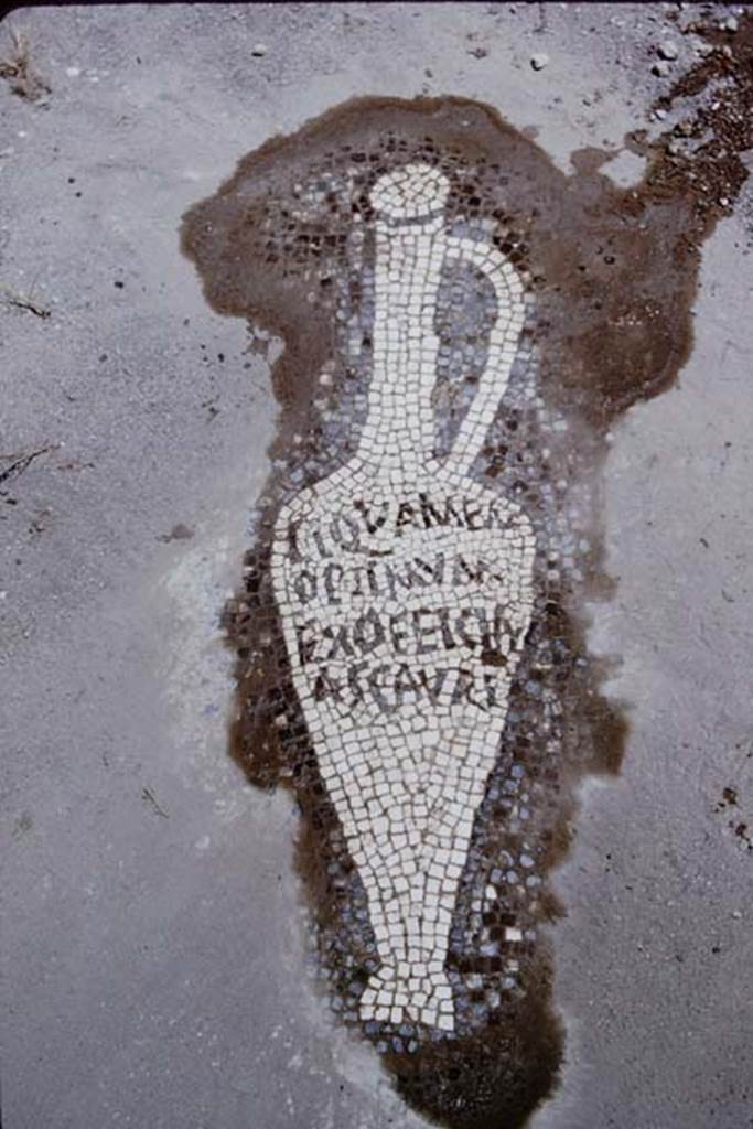 VII.16.15 Pompeii. 1964. Room 2, mosaic urceus from corner of impluvium in atrium. Photo by Stanley A. Jashemski.
Source: The Wilhelmina and Stanley A. Jashemski archive in the University of Maryland Library, Special Collections (See collection page) and made available under the Creative Commons Attribution-Non Commercial License v.4. See Licence and use details.
J64f0854