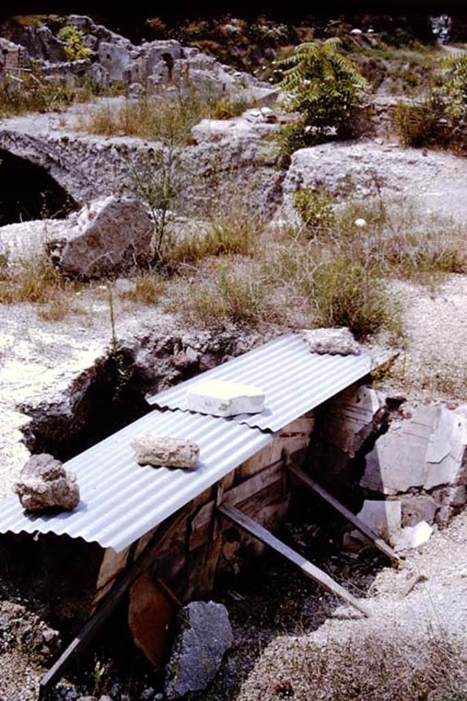 VII.16.22 Pompeii. 1964. Looking across the top (street level) floor, and down into the floor below. Photo by Stanley A. Jashemski.
Source: The Wilhelmina and Stanley A. Jashemski archive in the University of Maryland Library, Special Collections (See collection page) and made available under the Creative Commons Attribution-Non Commercial License v.4. See Licence and use details.
J64f2027