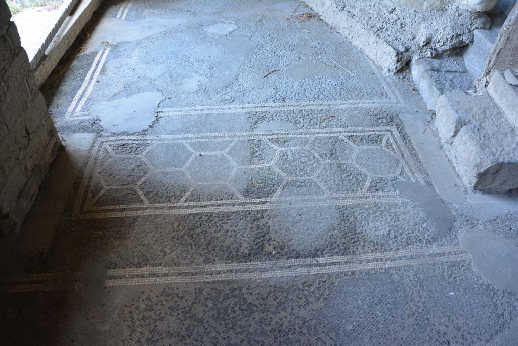 VII.16.22 Pompeii. October 2018. Looking north across doorway threshold onto landing 55 near staircase 54 with plaster-cast.
Foto Annette Haug, ERC Grant 681269 DÉCOR.