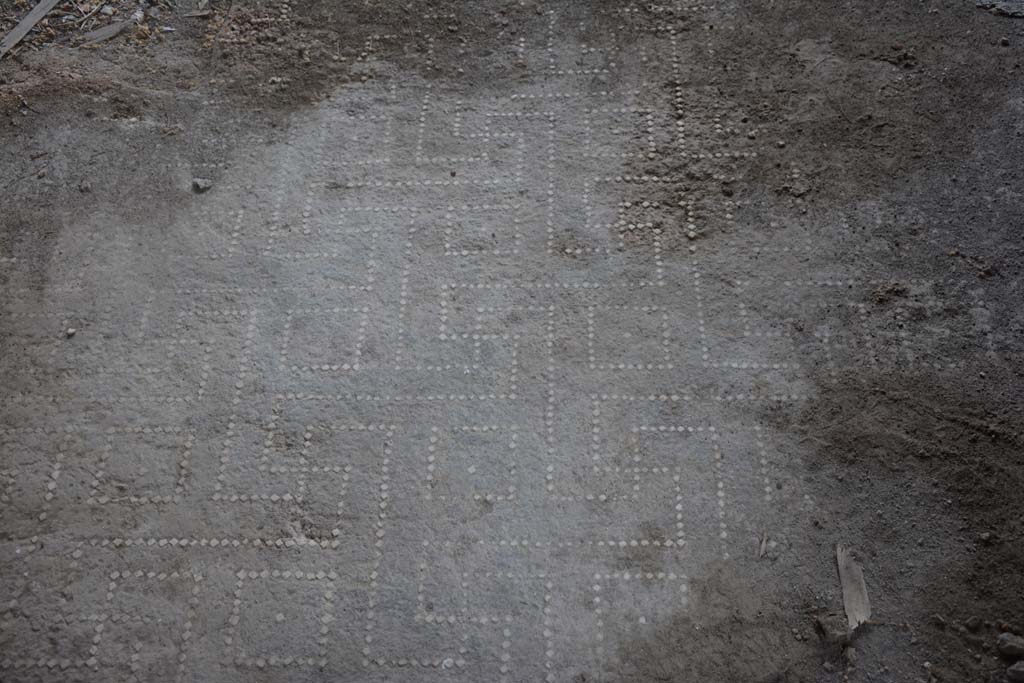 VII.16.17-22 Pompeii. October 2018. Peristyle 14, flooring.
Foto Annette Haug, ERC Grant 681269 D�COR.
