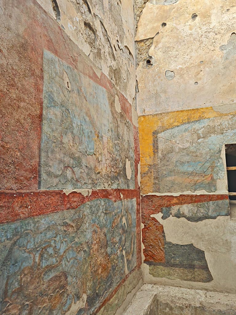 VII.16.a Pompeii. December 2006. Room 9, north wall of cascade, plant painting.