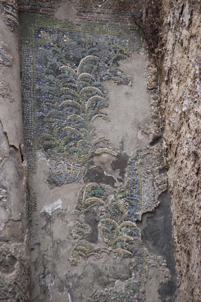 VII.16.a Pompeii. October 2020. Room 9, detail of mosaic at side of column on south side.
Photo courtesy of Klaus Heese.