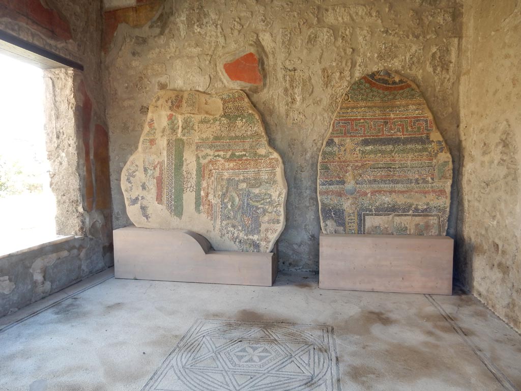 VII.16.a Pompeii. May 2018.
Two mosaic fragments belonging to the suburban baths now in VII.7.5. Photo courtesy of Buzz Ferebee.
According to the Soprintendenza web site, these were discovered during the 1959 excavation.
They were part of a barrel vault of an area (m 11,40 x 7,60), which is almost completely occupied by a swimming pool warmed up through a ‘samovar’ system (and this is the only case known in Pompeii so far).
The rare mosaic, which is stylistically close to Fourth Style paintings, was made after the AD 62 earthquake.
See www.pompeiisites.org
