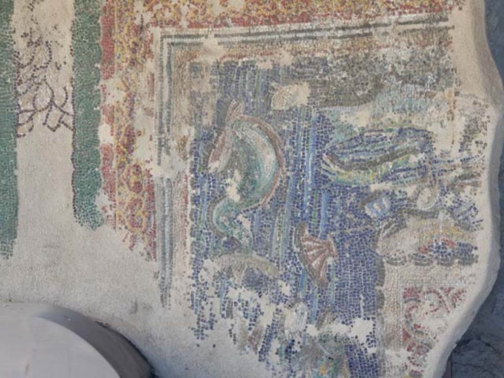 VII.16.a Pompeii. May 2018. First mosaic fragment lower part belonging to the suburban baths now in VII.7.5.
Photo courtesy of Buzz Ferebee.
This frame is decorated with shells and fishes, among which there is a darting dolphin.
See Carratelli, G. P., 1990-2003. Pompei: Pitture e Mosaici: Vol. VII. Roma: Istituto della enciclopedia italiana, p. 257.