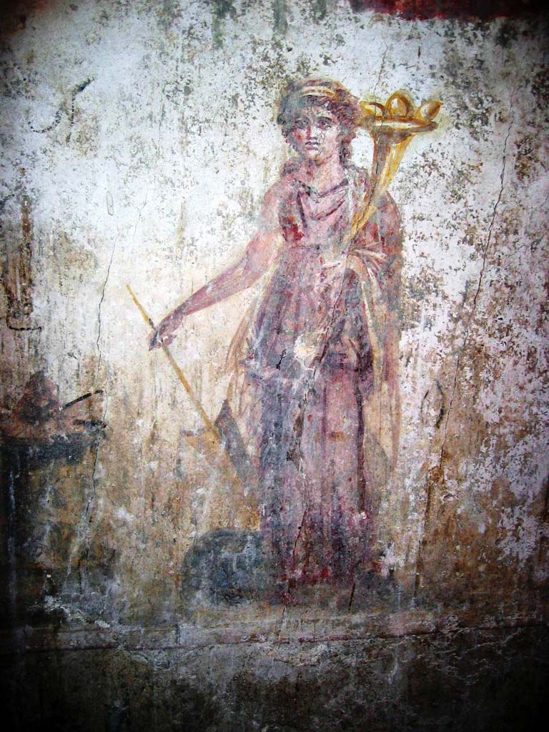 VII.16.a Pompeii. July 2008. Room 14, painted Lararium on east wall of the latrine. Photo courtesy of Barry Hobson.
Under two red garlands stands Fortuna, dressed in a red Chiton and blue Mantel.
She has a horn of plenty on her left arm and on her right is a rudder and a globe.
A round altar with an offering is to the right.
An inscription in black which was above the altar is no longer visible.
See Fröhlich, T., 1991. Lararien und Fassadenbilder in den Vesuvstädten. Mainz: von Zabern. (p.301, L114, Taf. 50, 3).