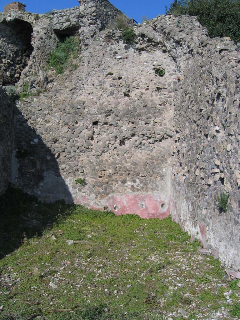 VIII.2.16 Pompeii. March 2004. Room 223, (or Room 10), looking north-east. 
On the west side of this room was the vaulted corridor 201, top left
According to BdI, above � 
�The zoccolo/dado/plinth in this room would have been red, above this would only have been rough plaster�.
Photo courtesy of Sandra Zanella.
