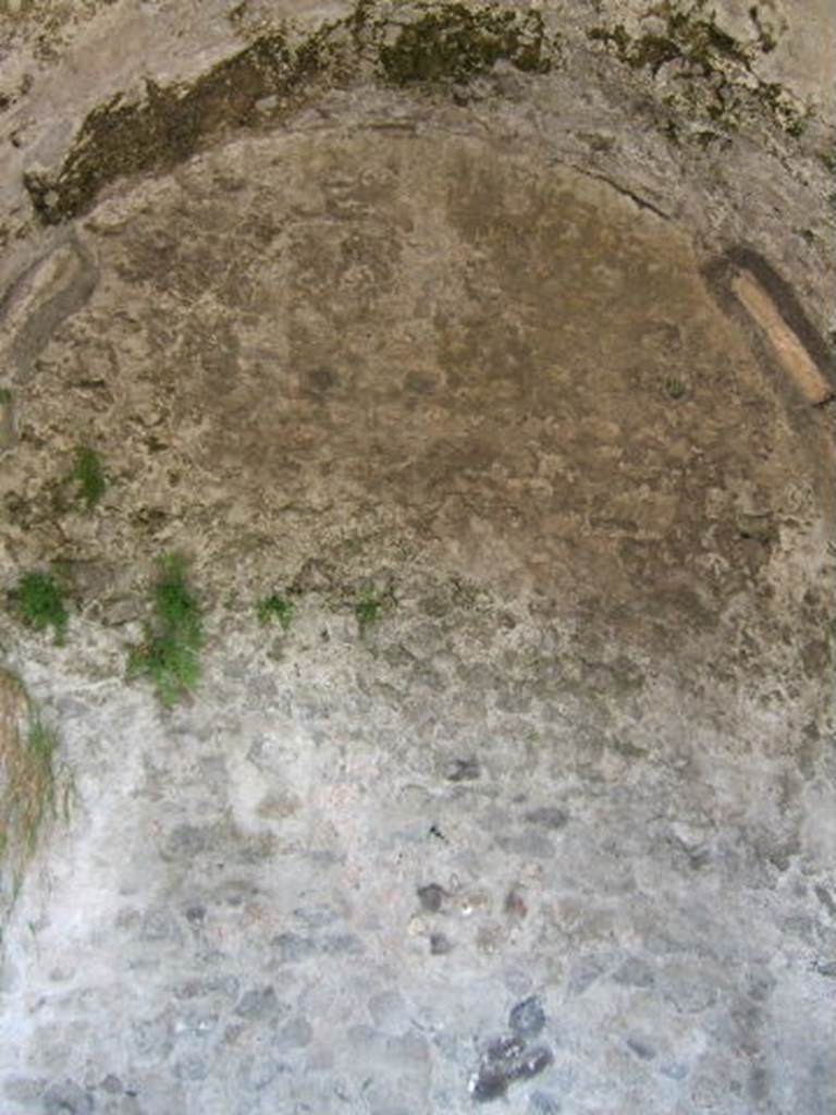 VIII.2.26 Pompeii. September 2005. Room 3, vaulted north wall of exedra. Only a small part of the stucco cornice remains, on the right. The other walls of this room were painted with a black zoccolo with a taut garland. A raven was seen on this garland on the east wall. On the west wall, a bird could be seen on the garland. The central panel of the middle zone was also black, and the side panels were red and crossed by a candelabra design. The plaster on the east wall fell totally in 1978. The floor of this room was of cocciopesto mixed with lava and showed a beautiful well-executed design. The centre of which was an enormous eight pointed star or rosette, formed by diamond shapes. In the north-east corner of room 3 was a doorway to room 4, a cubiculum leading from the exedra. The flooring of the small room 4 was made from lava with flakes of limestone. On the south wall the zoccolo could still be seen, it was painted black, and subdivided in panels and compartments. Only on the north side of the doorway on the west wall were any remains of the decoration of the middle zone, it was red and on the upper zone, it was painted white with architectural motifs.