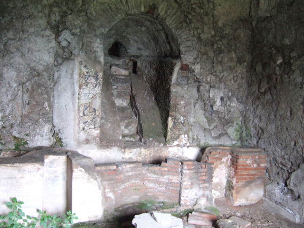 VIII.2.28 Pompeii. May 2006. Nymphaeum in triclinium decorated as a grotto. According to Richardson, the fountain room had a barrel vault and the floor and walls would have been largely veneered with marble. The water entered by a staircase through a deep vaulted niche and fell into a narrow basin that extended across the width of the room. The nymphaeum was enriched by painting, mosaic and veneering.
See Richardson, L., 1988. Pompeii: an Architectural History. Baltimore: John Hopkins University Press. (p.231-2).