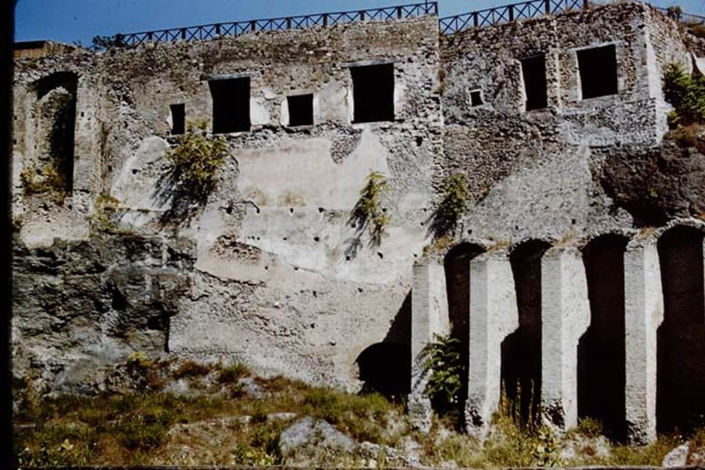 VIII.2.26 and VIII.2.28 Pompeii on right, 1959. Looking north from the rear. Photo by Stanley A. Jashemski.
Source: The Wilhelmina and Stanley A. Jashemski archive in the University of Maryland Library, Special Collections (See collection page) and made available under the Creative Commons Attribution-Non-Commercial License v.4. See Licence and use details.
J59f0408