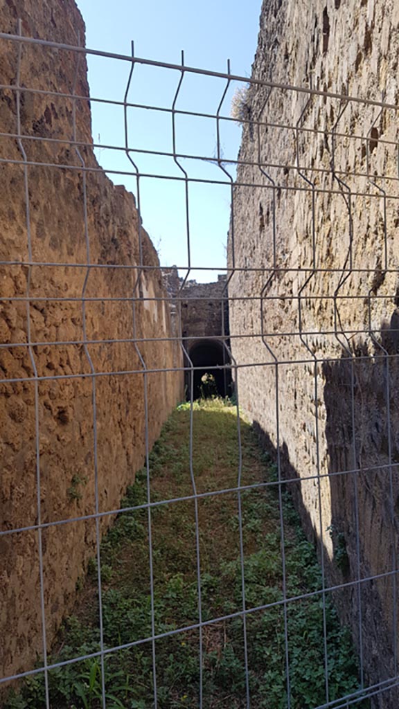 VIII.2.32 Pompeii. August 2023.
Looking south from entrance. Photo courtesy of Maribel Velasco.