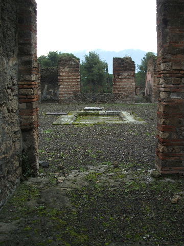 VIII.2.39 Pompeii. May 2006. Lararium niche in small room in north east corner of atrium. This was painted red with a genius in a toga, holding a cornucopia and standing to the left of a round altar. To the right was a figure in blue and yellow with a diadem and sceptre in the left hand and a patera in the outstretched right hand. This was possibly Juno.
See Fröhlich, T., 1991. Lararien und Fassadenbilder in den Vesuvstädten. Mainz: von Zabern. (p. 291, L95, T:44,1).
See Boyce G. K., 1937. Corpus of the Lararia of Pompeii. Rome: MAAR 14. (p. 75, no. 349, pl.19,2).