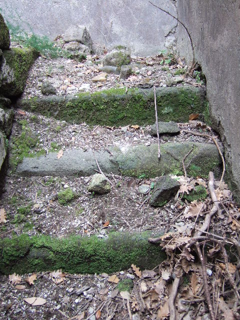 VIII.2.39 Pompeii. May 2006. Room 03, masonry tub in south-east corner.