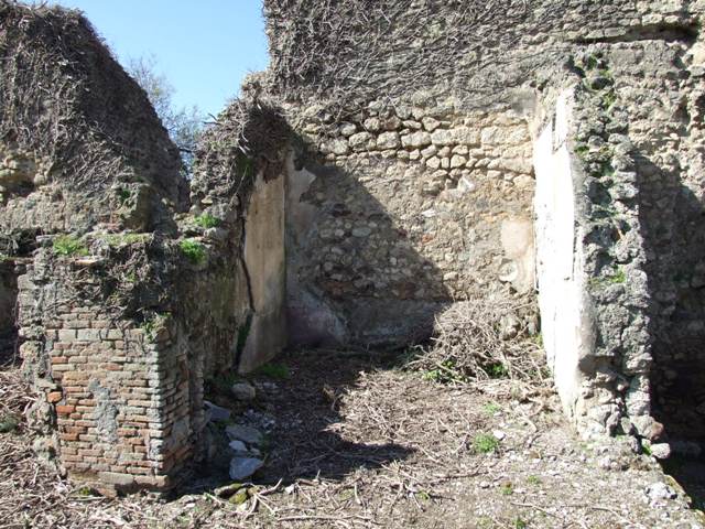 VIII.3.4 Pompeii. March 2009. Room 16. Oecus. South wall and south west corner.