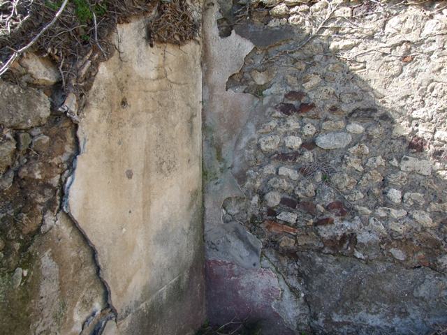 VIII.3.4 Pompeii. March 2009. Room 18, rear garden area. South-west corner, and niche in west wall.
