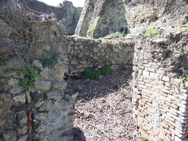VIII.3.4 Pompeii. March 2009. Room 18. Rear garden area. Looking south.