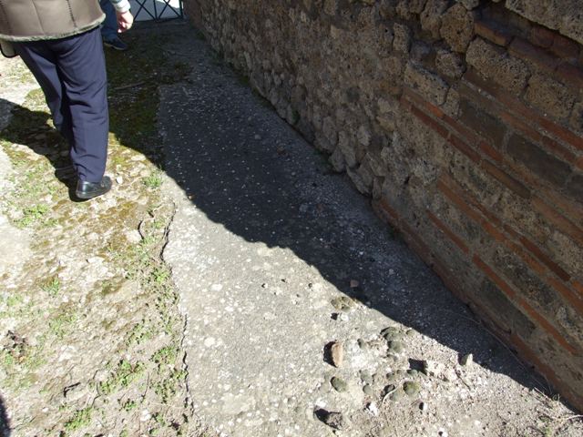 VIII.3.4 Pompeii. March 2009. Room 9. Tetrastyle Atrium. Looking south east across site of Impluvium.