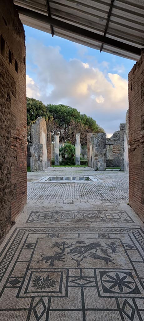 VIII.3.8 Pompeii. December 2023.
Looking south along entrance corridor towards atrium.
Photo courtesy of Miriam Colomer.