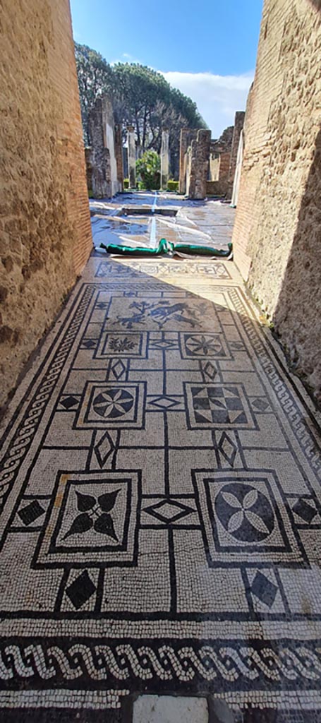 VIII.3.8 Pompeii. April 2022.
Looking south along mosaic in entrance corridor towards atrium.
Photo courtesy of Giuseppe Ciaramella.