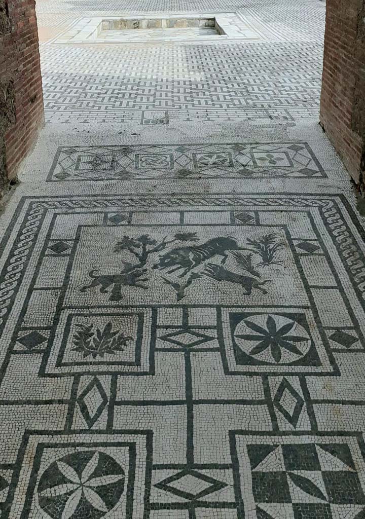 VIII.3.8 Pompeii. May 2021.
Looking south from entrance doorway along mosaic in corridor/fauces towards atrium.
Photo courtesy of Davide Peluso.