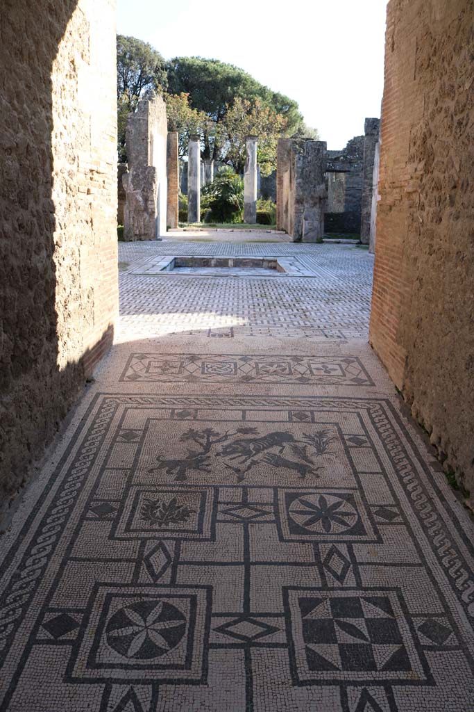 VIII.3.8, Pompeii., December 2018.
Looking south along mosaic in entrance corridor towards atrium, through tablinum to peristyle.
Photo courtesy of Aude Durand.