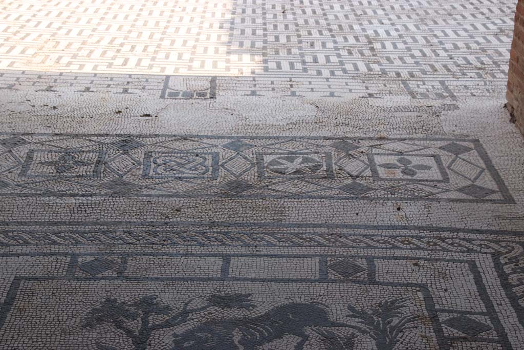 VIII.3.8 Pompeii. September 2021.
Looking south along mosaic in entrance corridor towards atrium flooring. Photo courtesy of Klaus Heese.