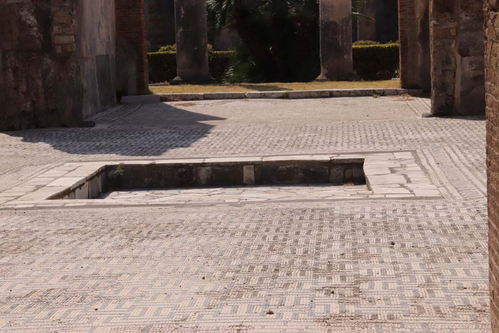 VIII.3.8 Pompeii. September 2019.
Looking south across the atrium flooring towards the impluvium and across towards the tablinum and peristyle.
Photo courtesy of Klaus Heese.