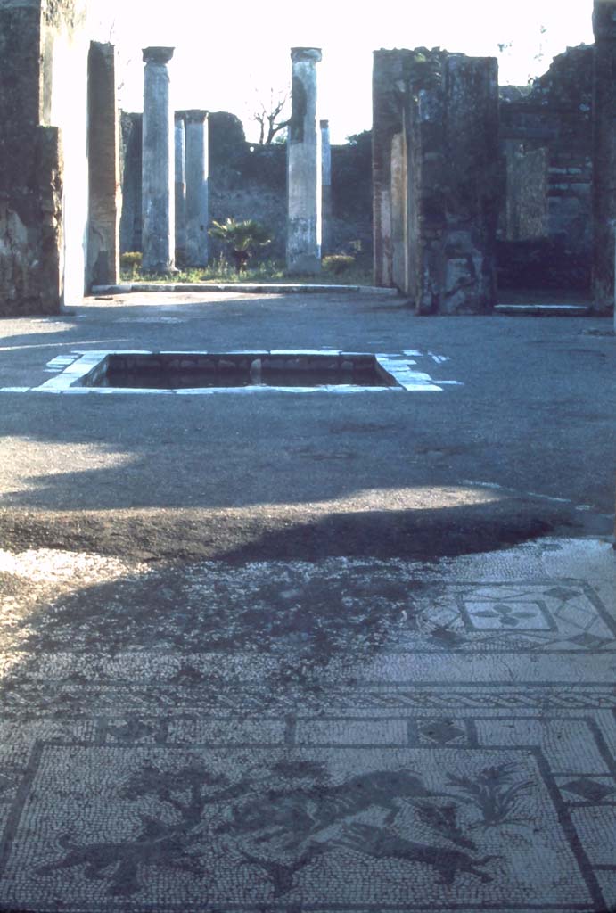 VIII.3.8 Pompeii. 4th December 1971.
Looking south from end of mosaic in fauces, across atrium to peristyle.
Photo courtesy of Rick Bauer, from Dr.George Fay’s slides collection.