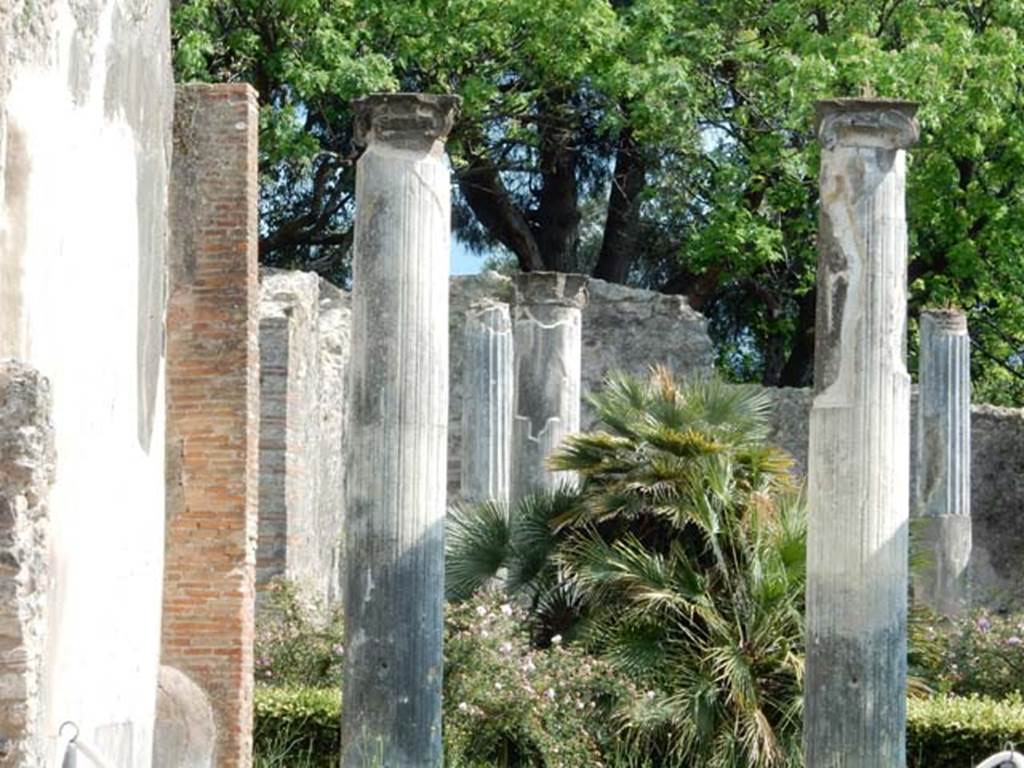 VIII.3.8 Pompeii. May 2016. Looking south from tablinum into the peristyle, with the east wall of the tablinum, on left. Photo courtesy of Buzz Ferebee.