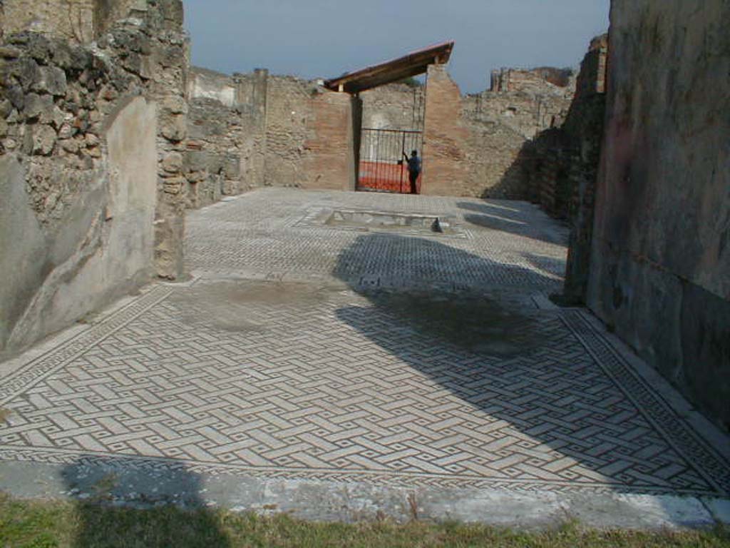 VIII.3.8 Pompeii. September 2004. Looking north across mosaic floors in tablinum and atrium towards entrance.
The black and white mosaic floor of the tablinum showed a carpet style of squares and rectangles.
The threshold between the tablinum and atrium was of a plant decoration, consisting of a central head of acanthus with tendrils.
The tablinum was completely open onto the atrium and the peristyle.
In the centre of east wall of the tablinum, but now lost, was seen a painting of Mars and Venus.
The zoccolo was painted red, and the middle zone was painted yellow with panels separated by narrow compartments.