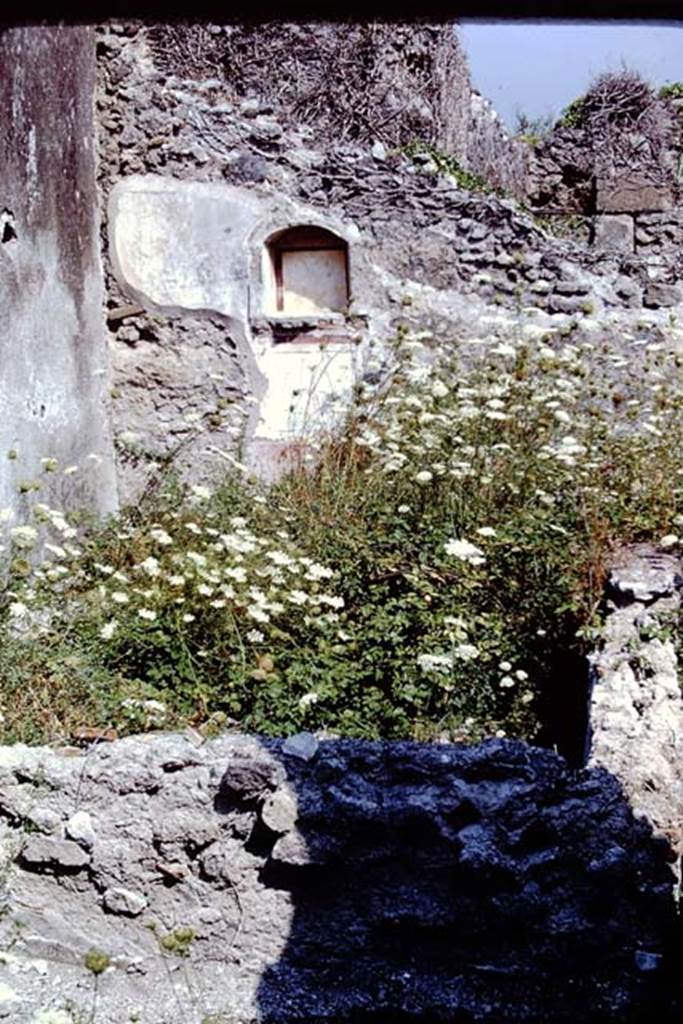 VIII.3.21 Pompeii. 1968. Looking towards the north wall of the garden area, with arched niche. Photo by Stanley A. Jashemski.
Source: The Wilhelmina and Stanley A. Jashemski archive in the University of Maryland Library, Special Collections (See collection page) and made available under the Creative Commons Attribution-Non Commercial License v.4. See Licence and use details.
J68f1180
