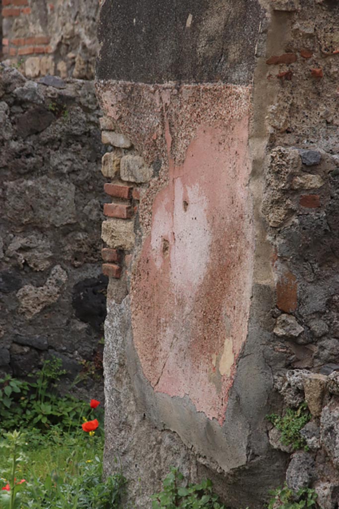 VIII.3.21 Pompeii. May 2024.
Detail of remaining plaster on west wall at south end of window, photo taken over wall from VIII.3.24.
Photo courtesy of Klaus Heese.